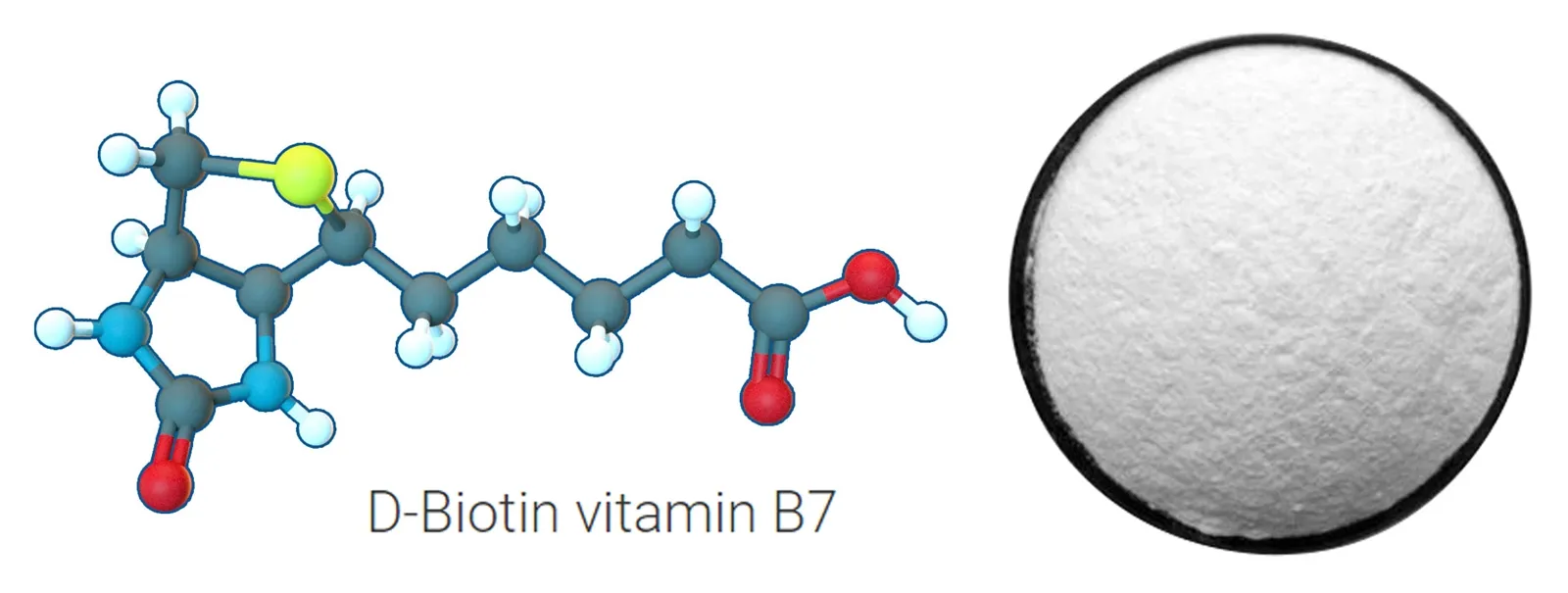 D-Biotin